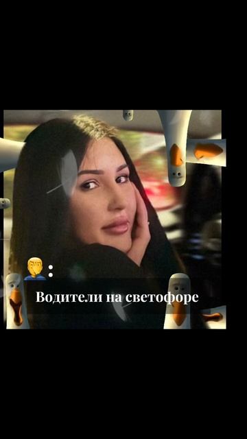 Светофор- друг человека