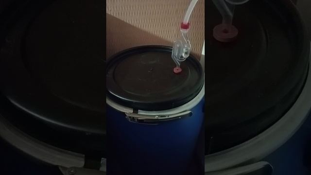 процесс брожения
