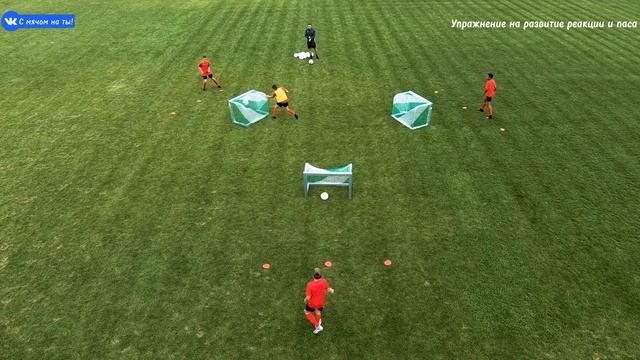 Упражнение на развитие реакции и паса / An exercise for developing reaction and pace