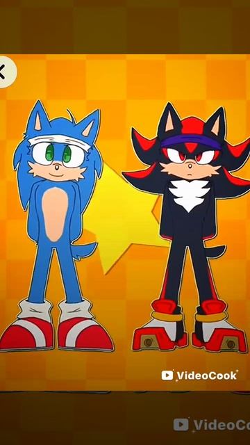 Sonic and Shadow