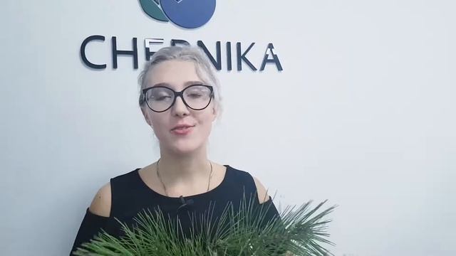 Новогоднее поздравление от CHERNIKA