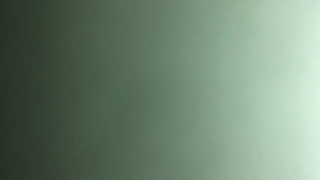 Черный ворон