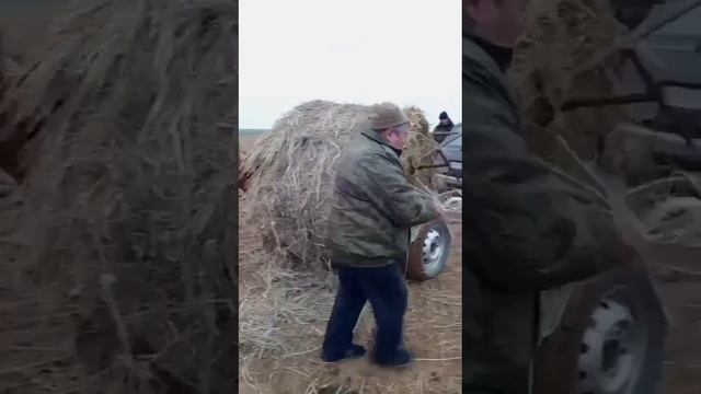 VID-20250211-WA0031.mp4