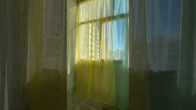11-02-2025 трёхкомнатная Суворова,33