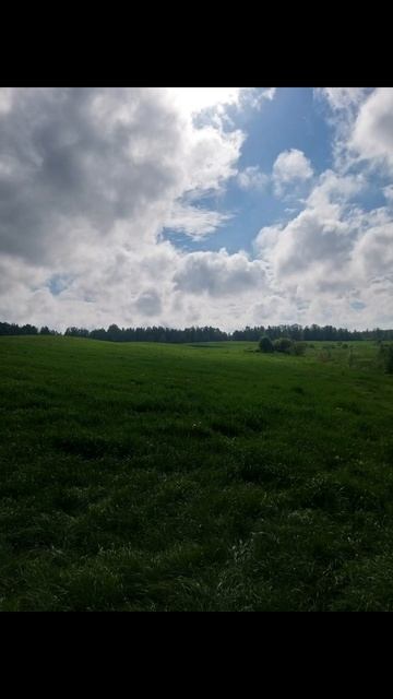 коп