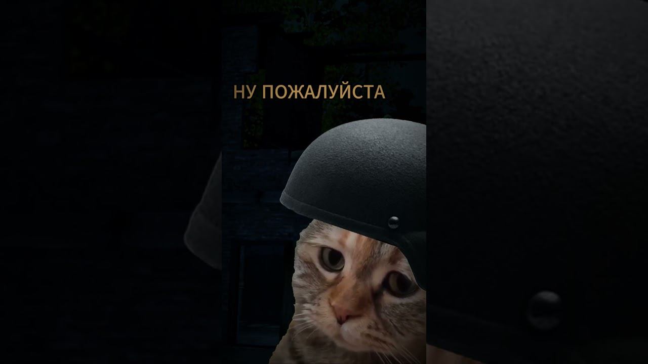 трагедия копыча #stay_out #stalker_online #eu1 #sogame #spring_so #stalker #somemes #INFEKT #so