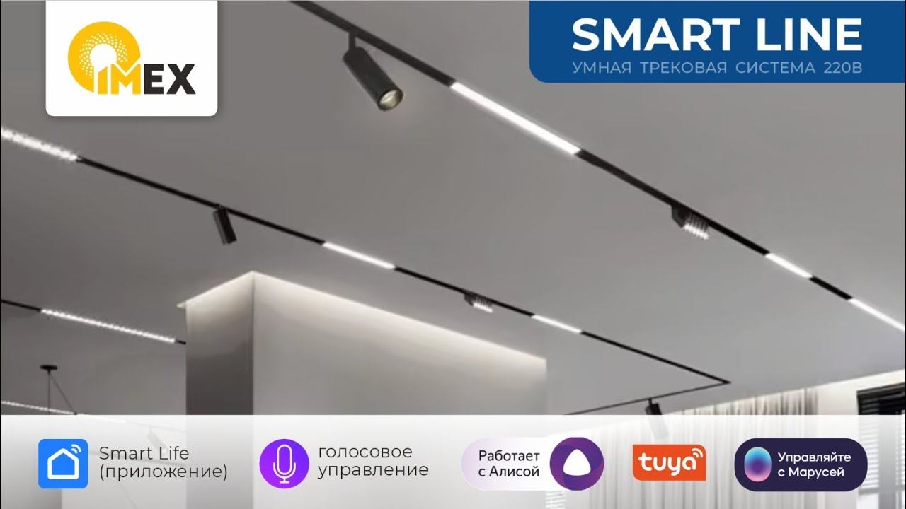 SMART LINE - умная трековая система 220В.