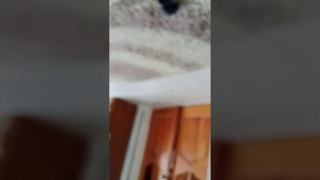 обзор на геймпады
