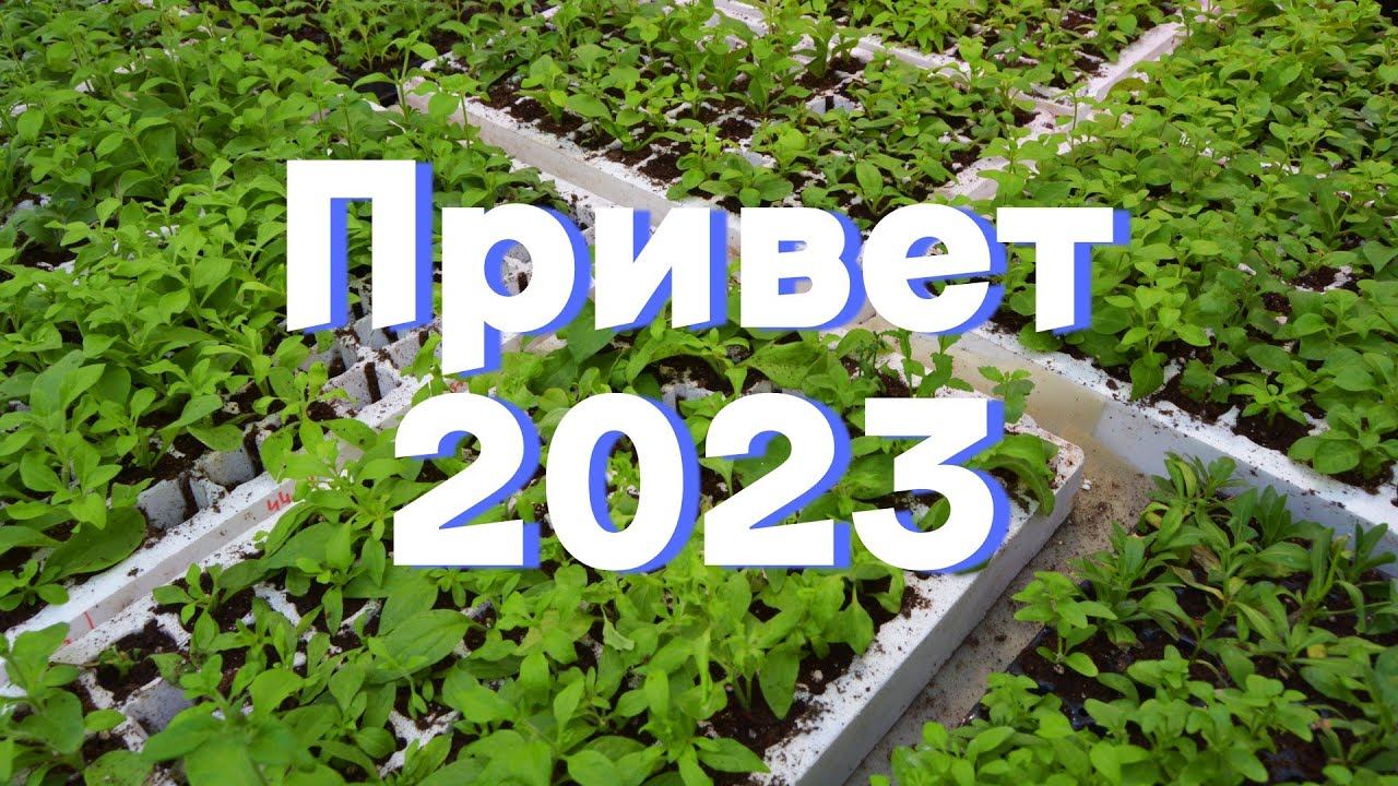 Что творится с посевами?! Первое видео в 2023!