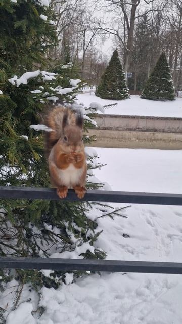 11 февраля 2025 г.