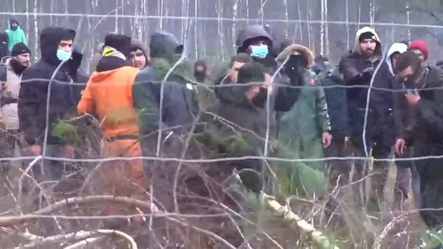 Попытки  нелегалов  прорваться  в Польшу.