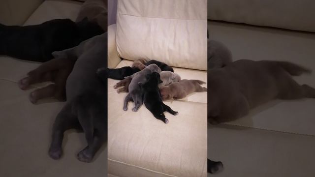 lv_0_20250211215223.mp4