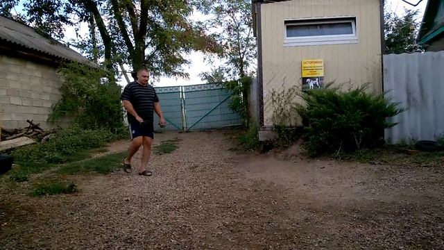 НКД НЕО 2,5 года Гера, отработка команды ко мне