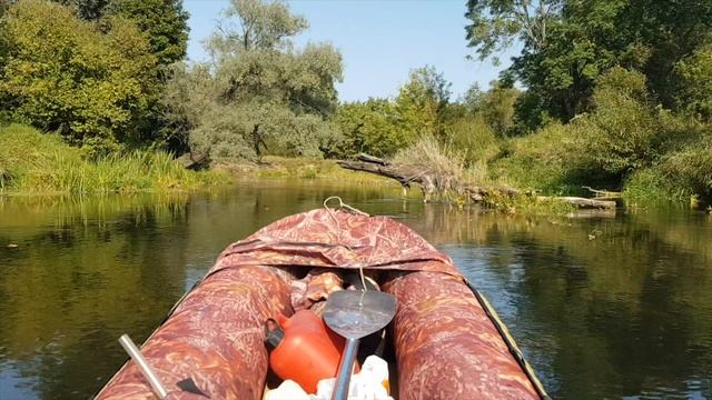 Закрытие сезона подводной охоты 2020