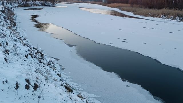 Хутор Раевка. 11 февраля 2025г.