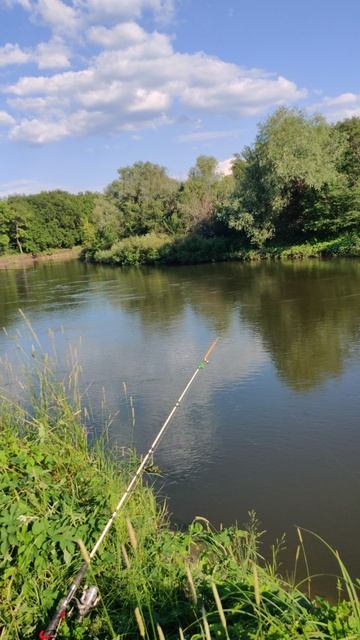 VID_20240611_171036