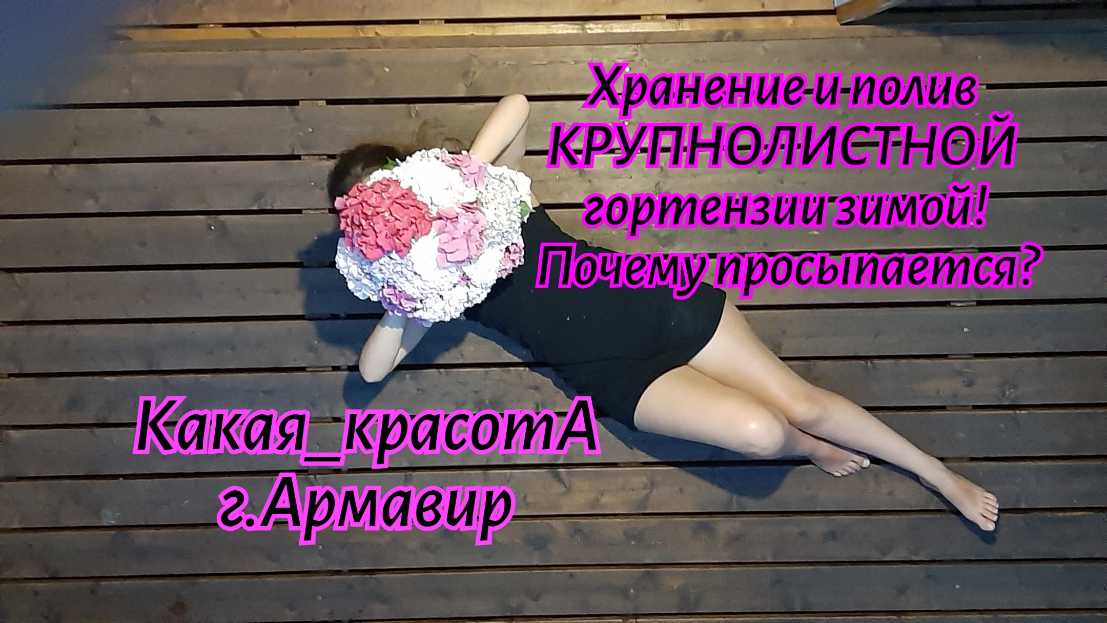 Хранение и полив КРУПНОЛИСТНОЙ гортензии зимой!Почему просыпается?11.02.25