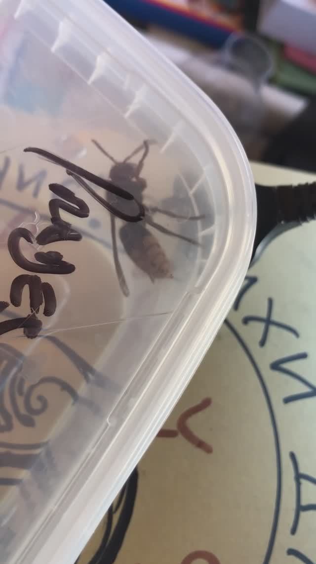 СТРАШНЫЙ ШЕРШЕНЬ СОТВОРИЛ ЧУДО!