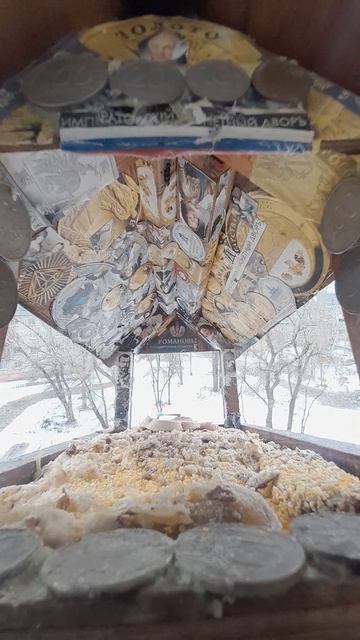 1000038400.mp4кормушка.12.02.2025г.