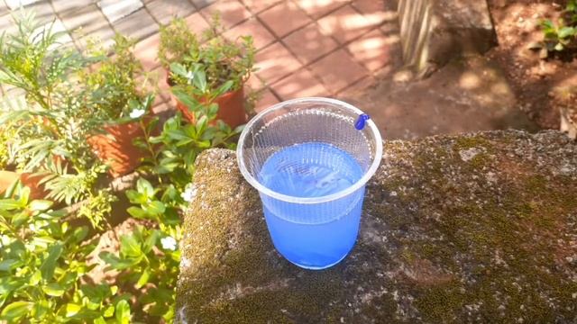 Vinegar🆚️Baking Soda 🔥EXPERIMENT🔥l  Made by ASHIQ  l