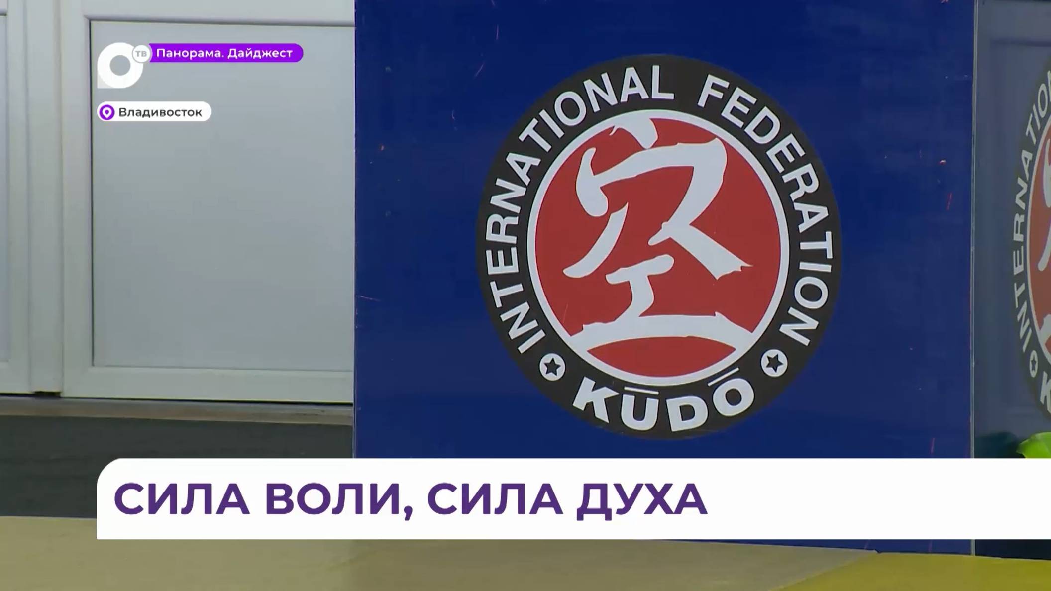 В Приморье подведены итоги чемпионата Дальнего Востока по кудо