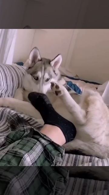 1000073419.mp4