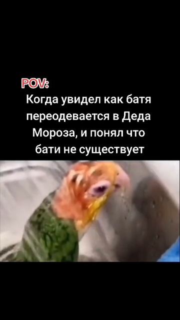 пов
