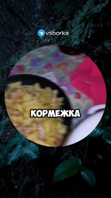 VID-20250212-WA0015