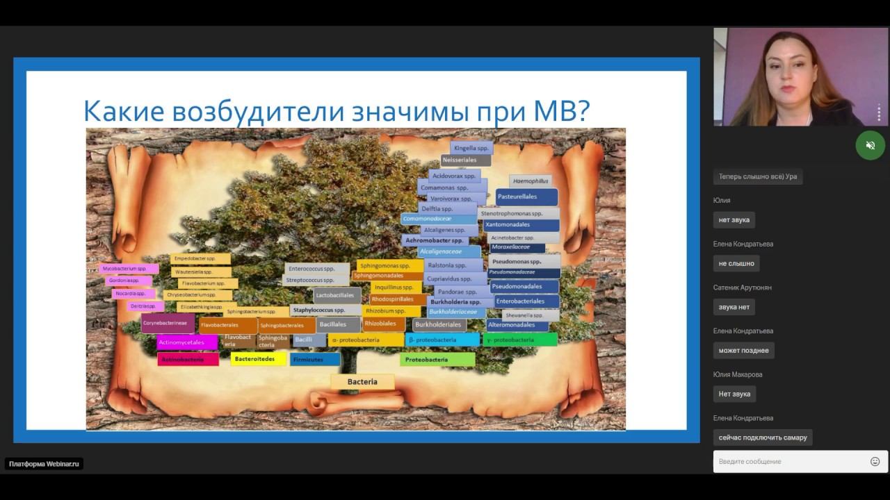 Микробиологическая диагностика при муковисцидозе. 21 мая 2020 г.