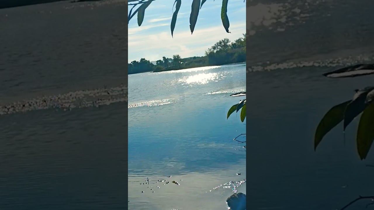 #осознание
