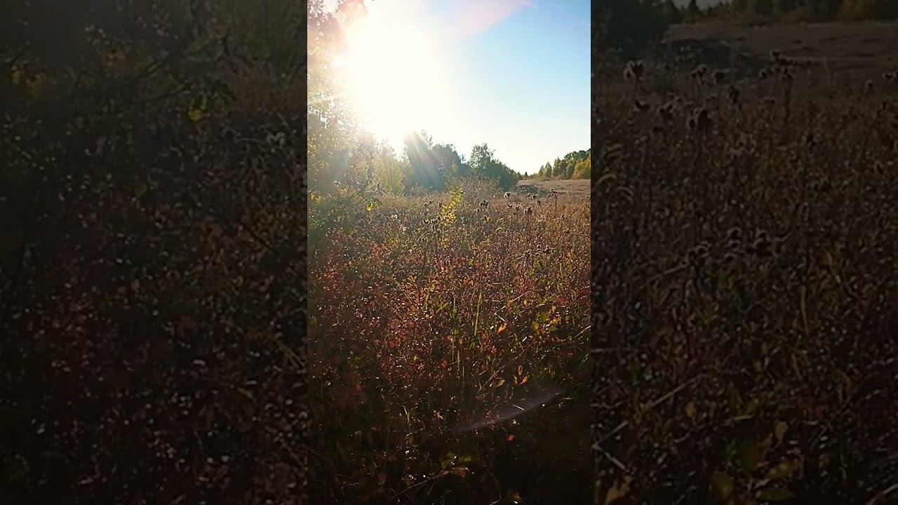 Матушка земля #nature #осознание #настоящее