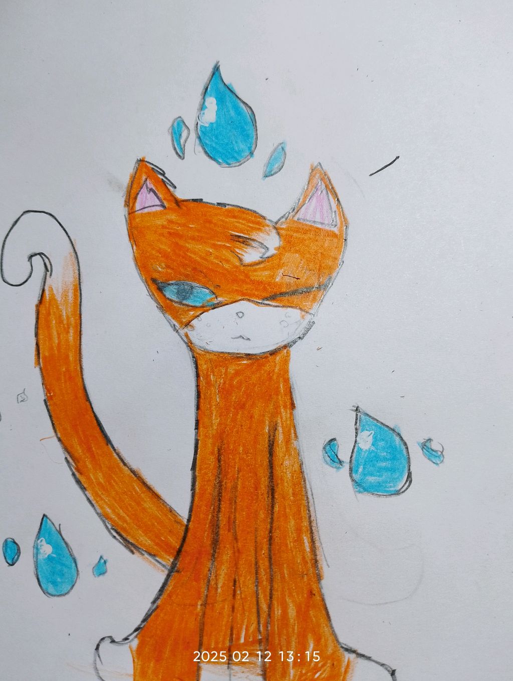 Магические котики 🌹🔥💧🌪️⚡🌈🌠🌙🌨️ 🔮✨🔮✨