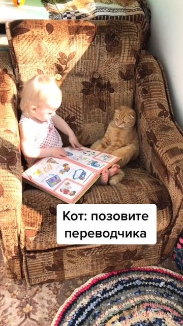 Нужен переводчик