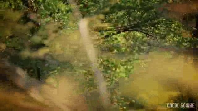 музыкальная пауза (3)