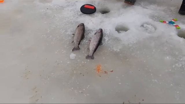 12.02.25 г. Парк отдыха водопад