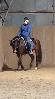 Уставший Аквилон после работы. #horse #equestrian #лошади #pony