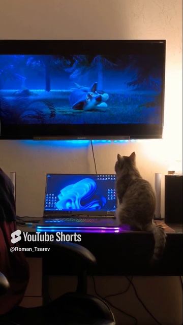 Семейный просмотр мультфильма 😊 #shorts