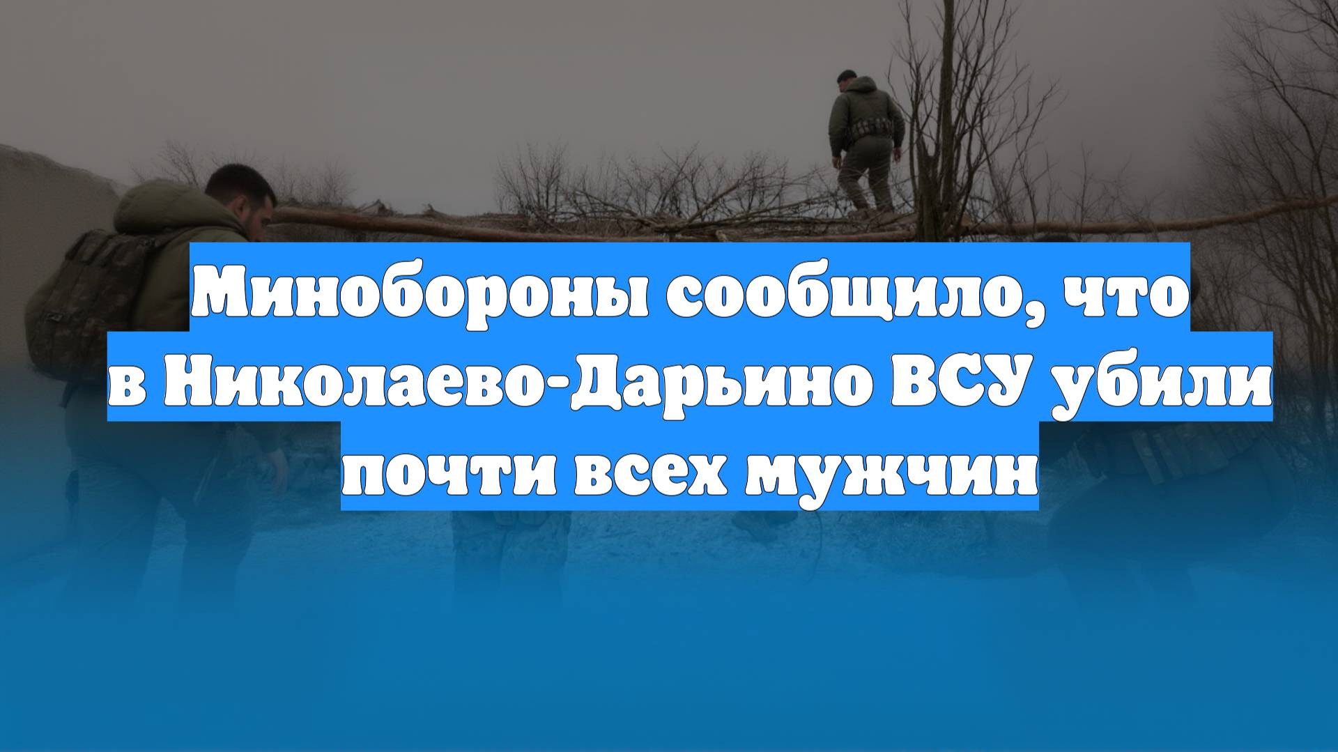 Минобороны сообщило, что в Николаево-Дарьино ВСУ убили почти всех мужчин