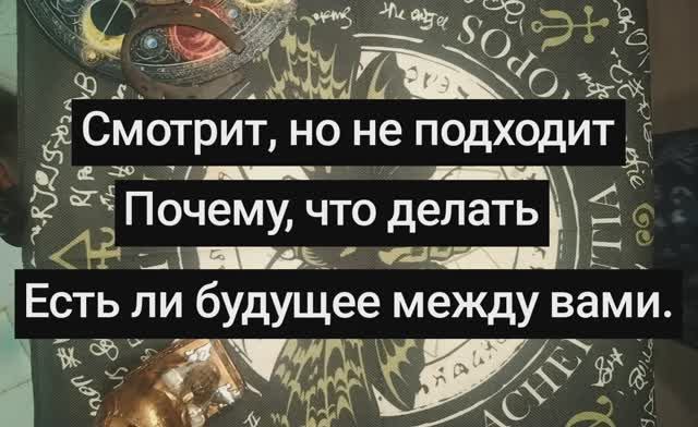 Смотрит но не подходит