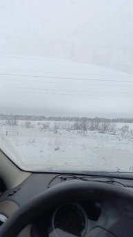 Стрим привёз корма