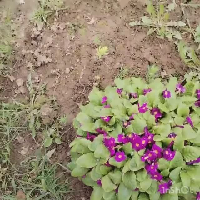 Скоро лето,а пока снег! (1)