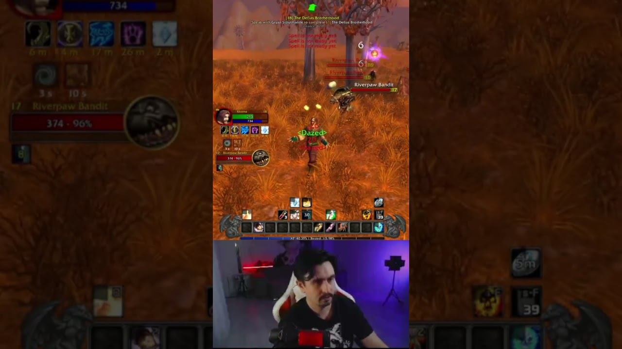 тест на хила wow turtle хардкор #hardchallenge #worldofwarcraft