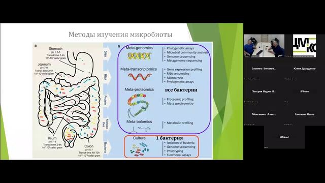 Степанов В.С., Капто А.А. Антибиотикотерапия хронического простатита. 08.08.2024.