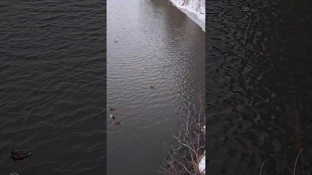 1000001485.mp4