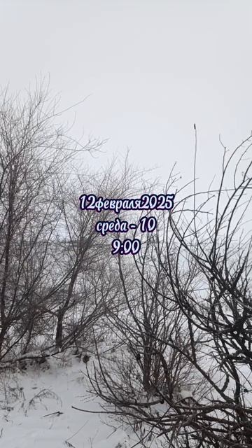 12февраля2025
