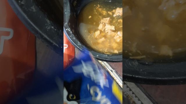 Чем кормить кота Васю.