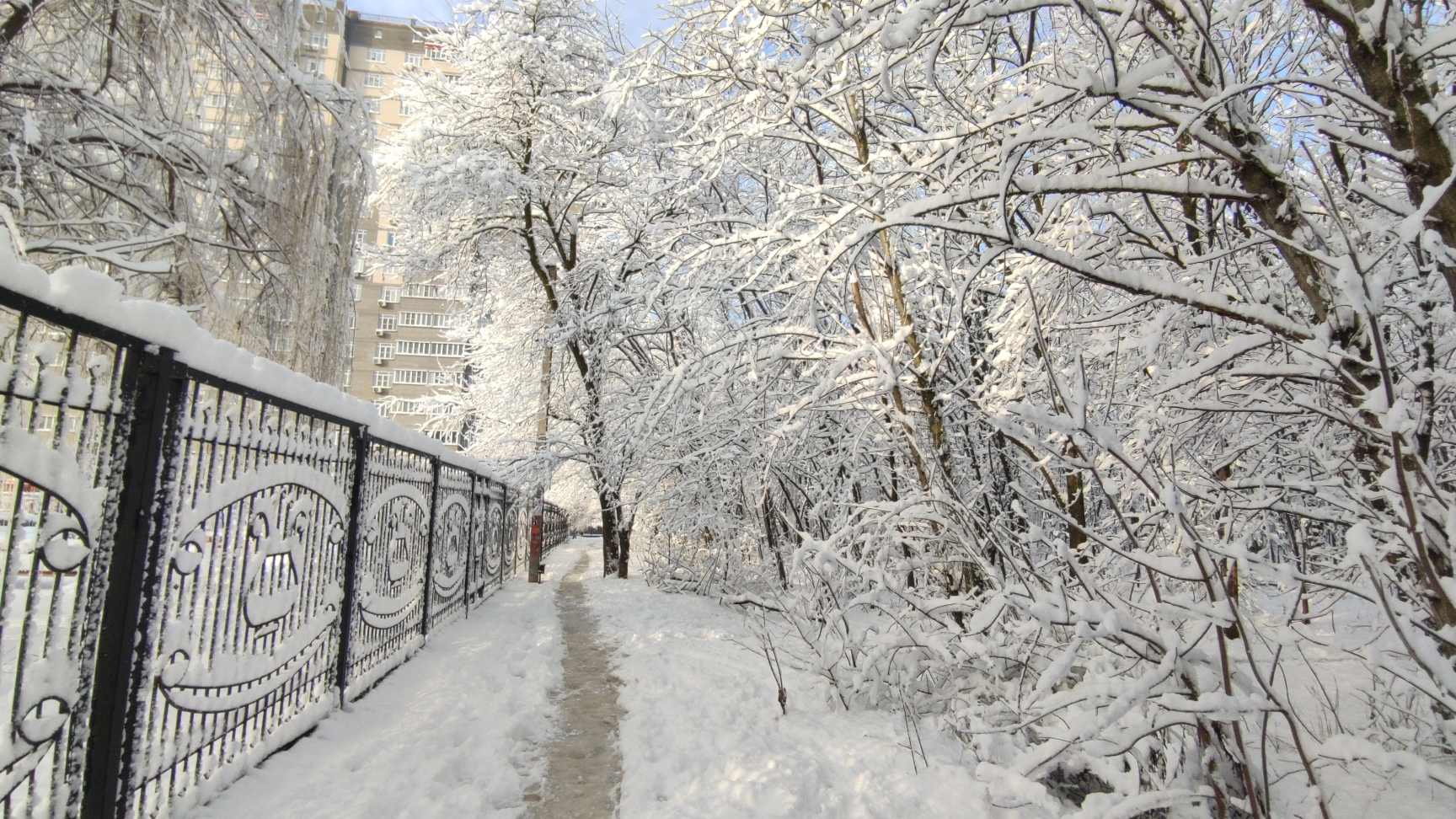 04.02.2025 Хочу узнать ваше мнение, а вначале зимняя сказка ❄️