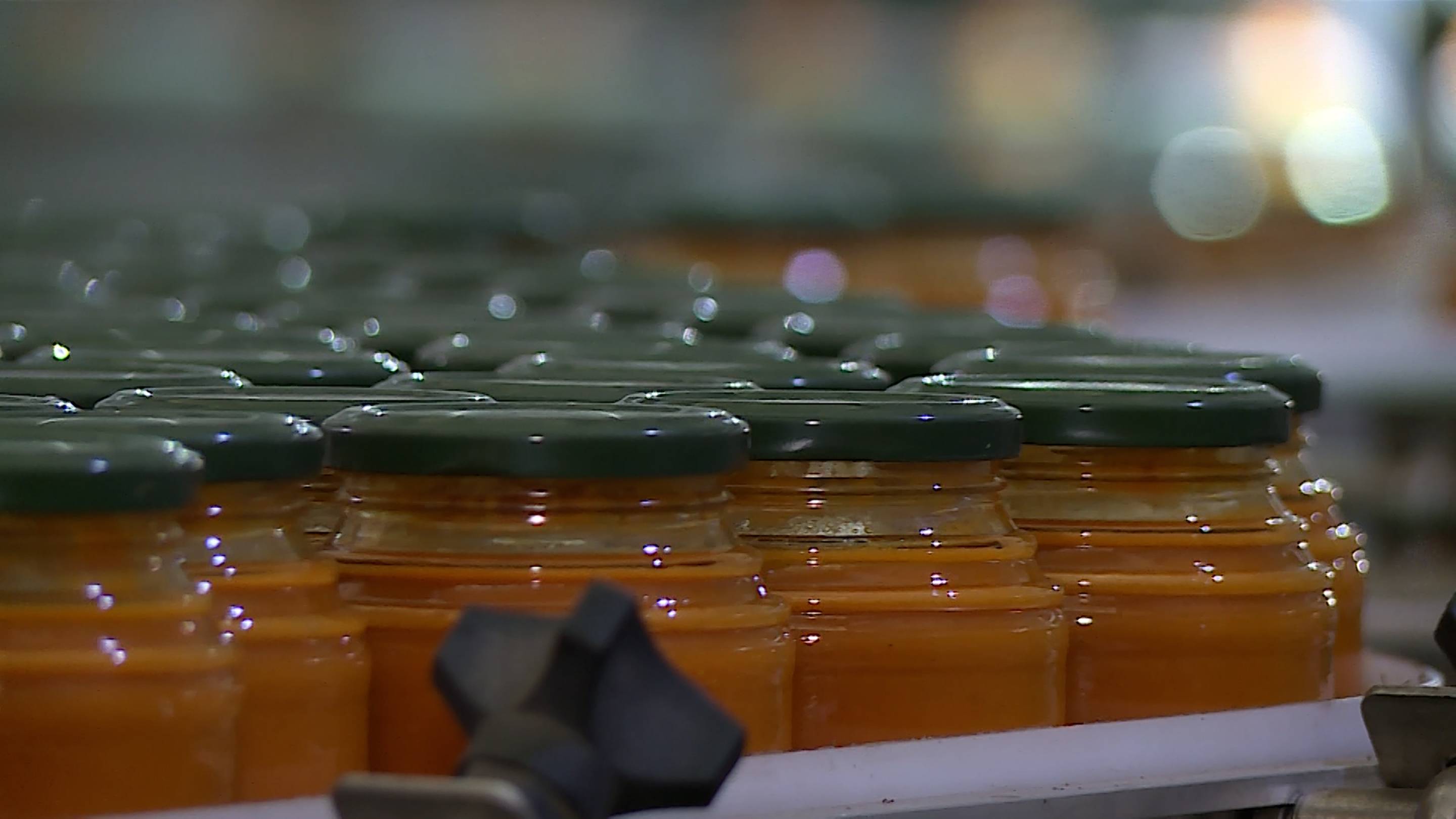 Студентам Георгиевского колледжа провели тур по заводу