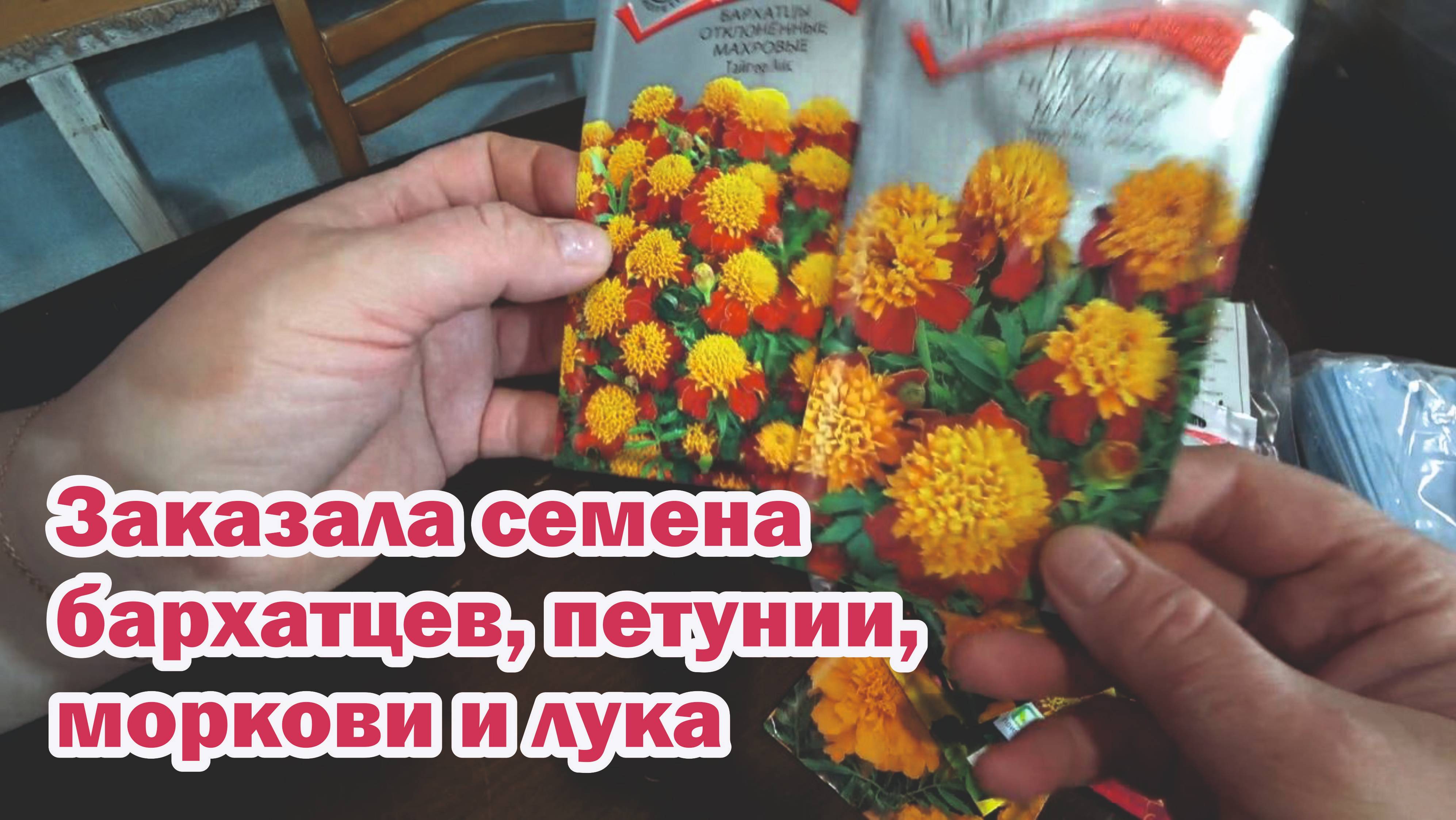 Обзор покупок с маркетплейсов: корейская игра Конги стойка для болгарки одежда молотый перец семена