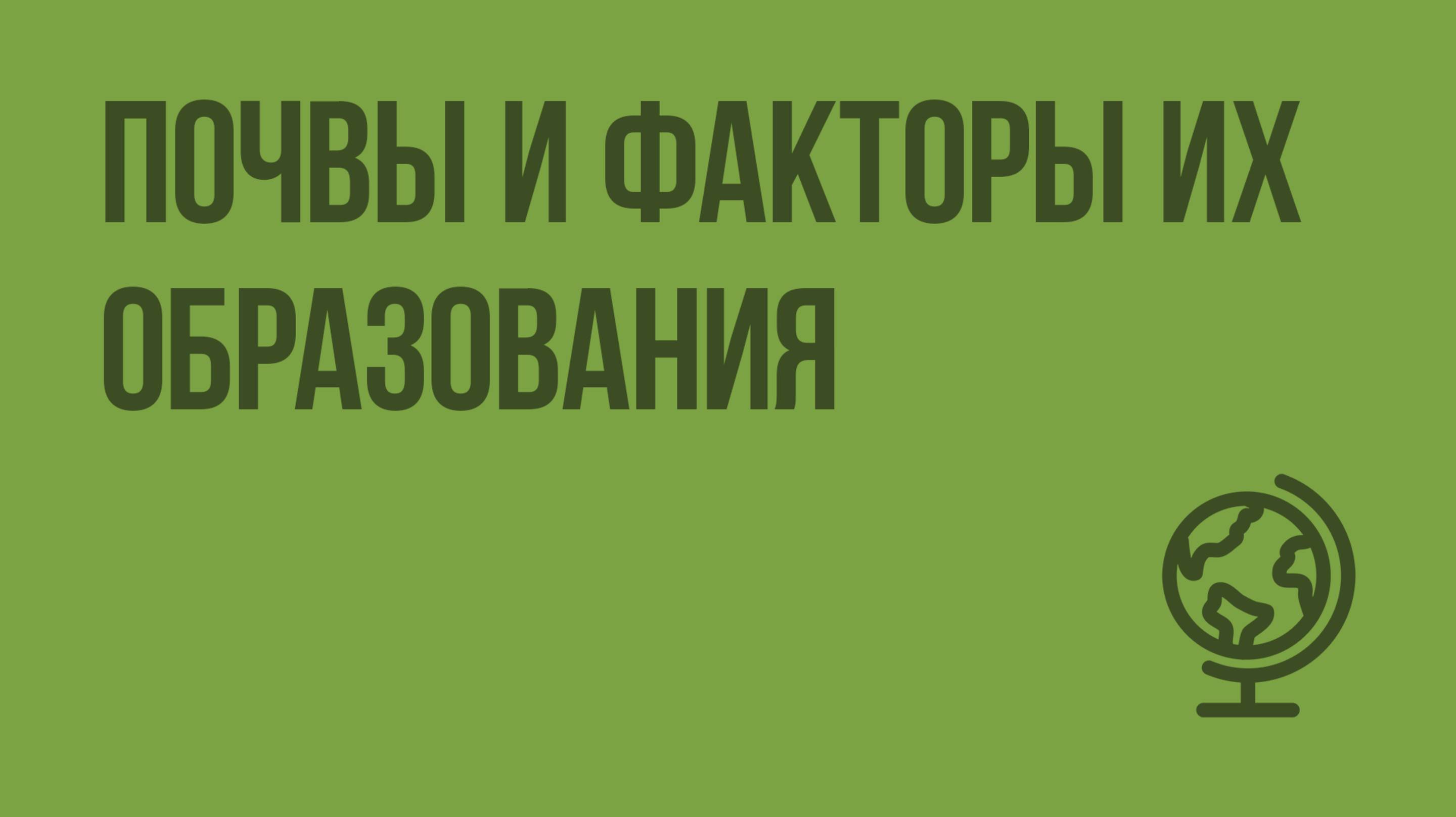 Почвы и факторы их образования. Видеоурок по географии 8 класс